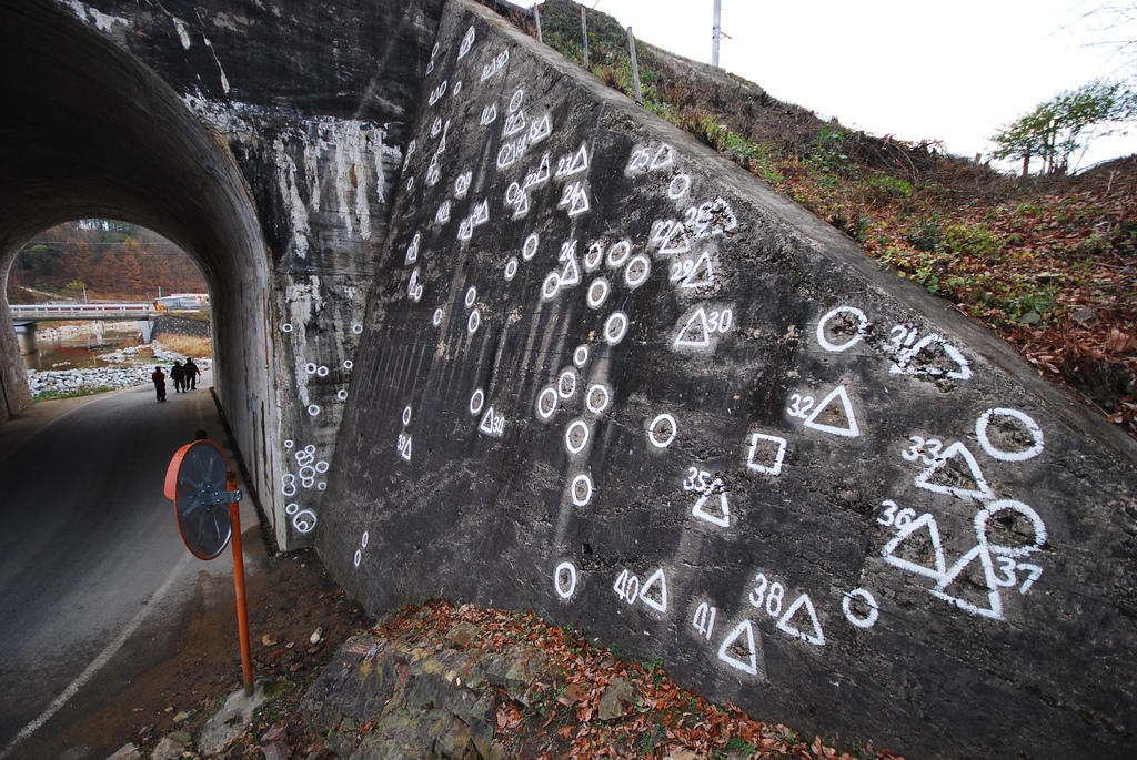 1024 111111 우포 반곡 월류 178.jpg