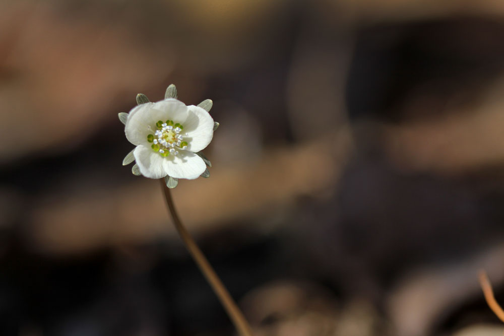 12-02-19 tad 115-1.jpg