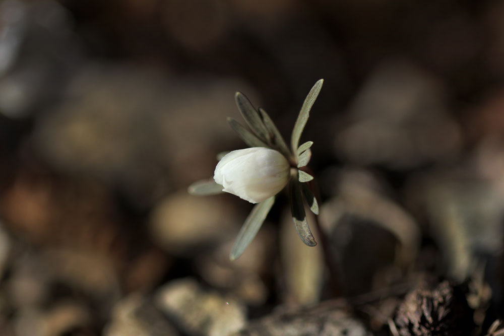 12-02-19 tad 123-1.jpg