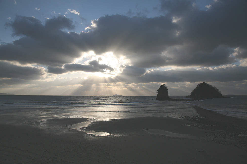 11-01-09 tad 032-1.jpg