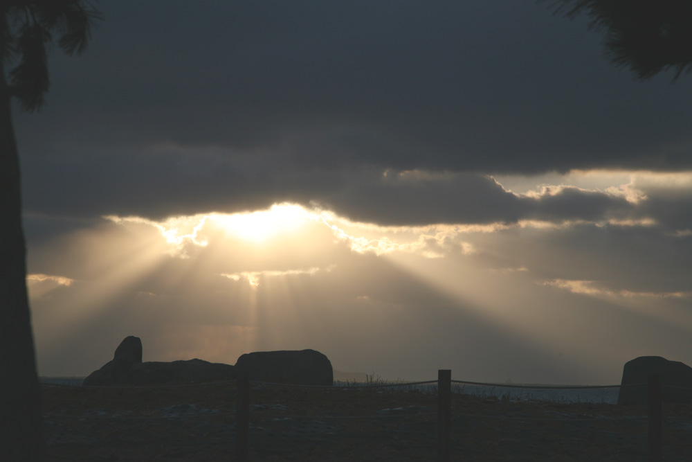 11-01-09 tad 040.jpg