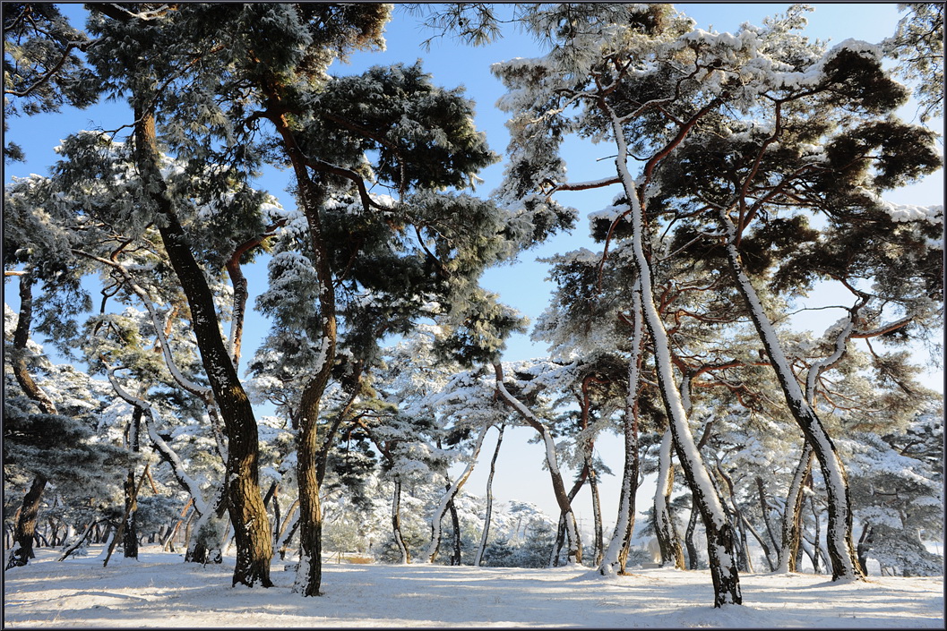 winter-solbat (9).jpg