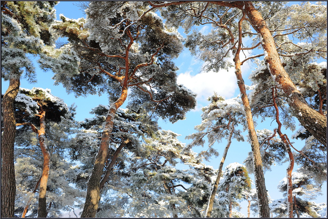 winter-solbat (8).jpg