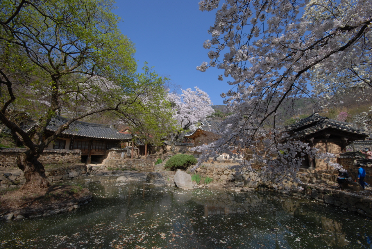 1280-110416 우암사적공원 006.jpg