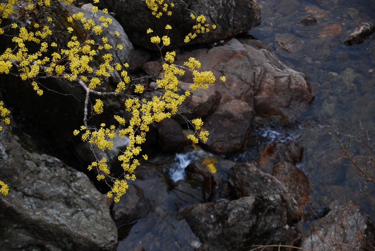 1280 110403 산동 상위마을0153.jpg