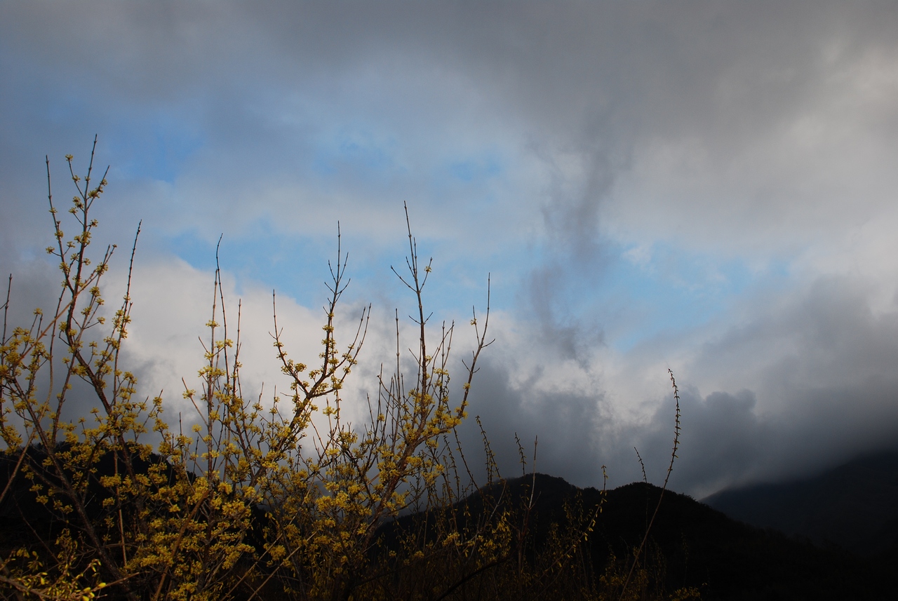 1280 110403 산동 상위마을0175.jpg