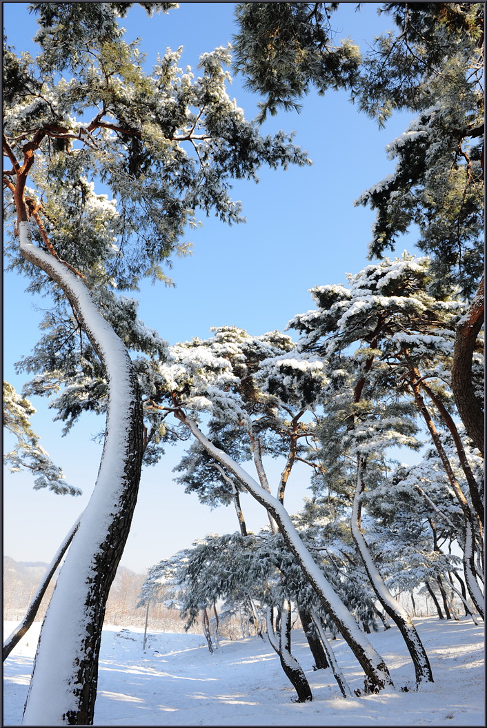 winter-solbat (18).jpg