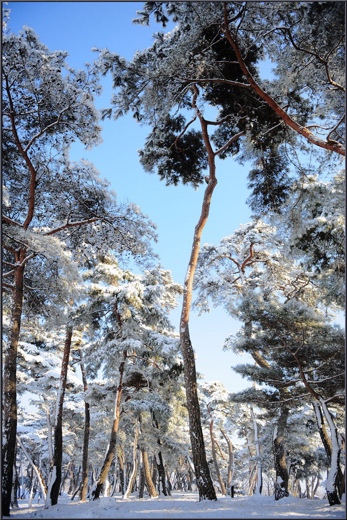 winter-solbat (11).jpg