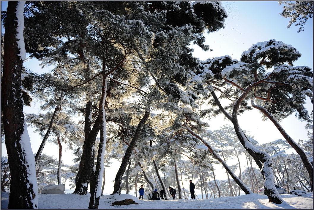 winter-solbat (14).jpg