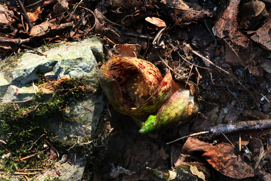 09-02-18 cjd 039-1.jpg