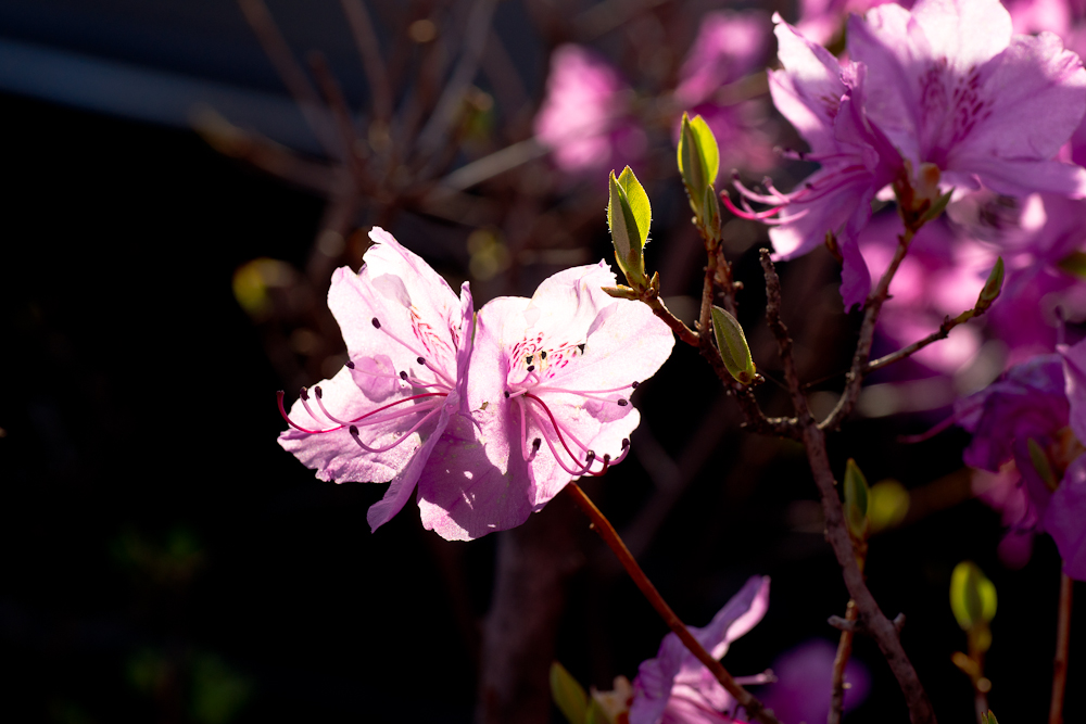 제목 없음-06189.jpg