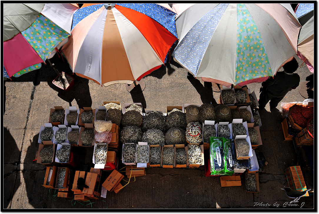 2009.03.08-4-부산 자갈치시장D30_1982-기다림.jpg