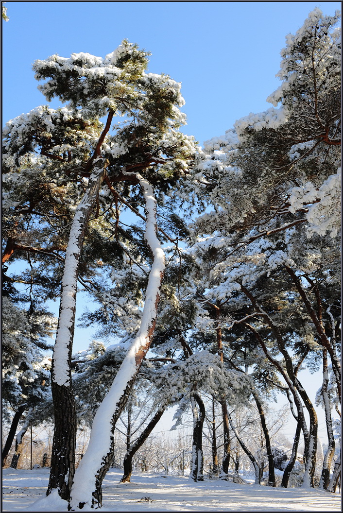 winter-solbat (24).jpg