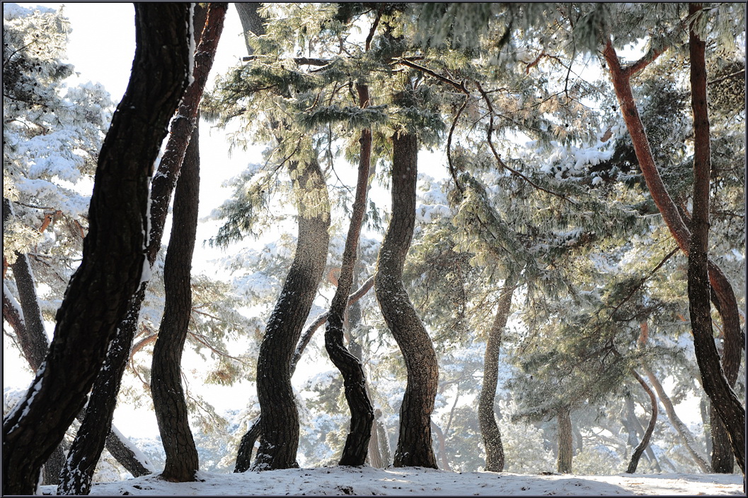 winter-solbat (21).jpg