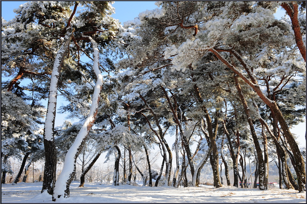 winter-solbat (22).jpg