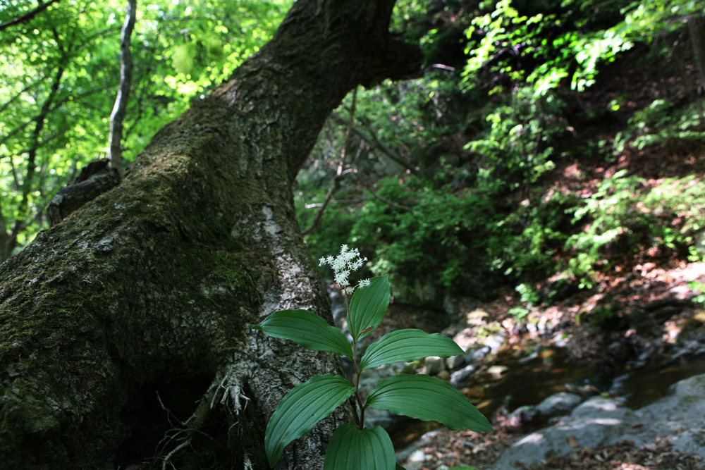 09-05-08 cjd 116-1.jpg