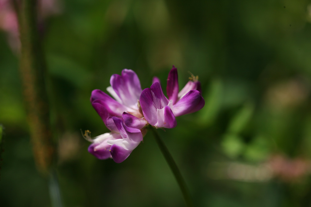 09-05-03 cjd 008-1.jpg