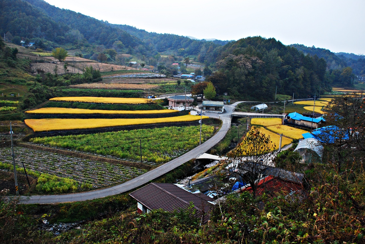 1280 111016  방하목리 014.jpg