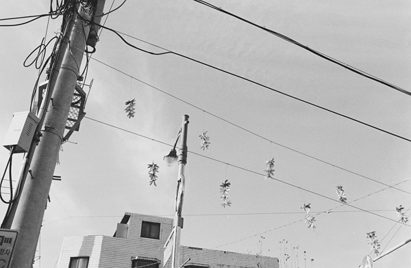 030_091121_045 copy.jpg