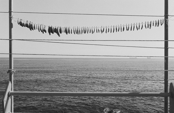 032_091121_104 copy.jpg