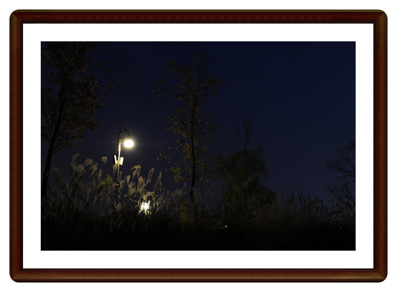 한밭수목원 (9).JPG