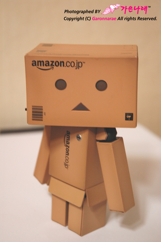 danboard5.jpg
