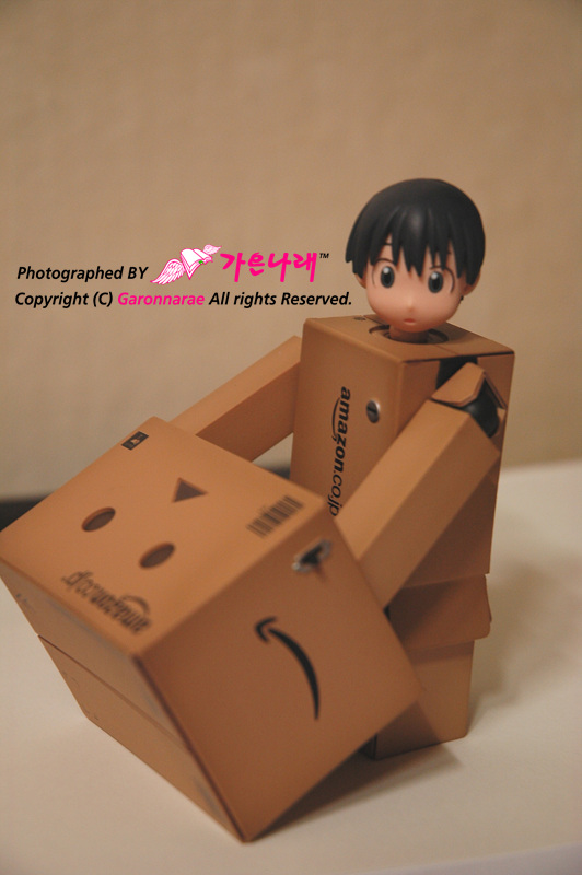 danboard8.jpg