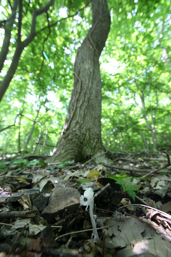 10-05-27cjd 070-1.jpg