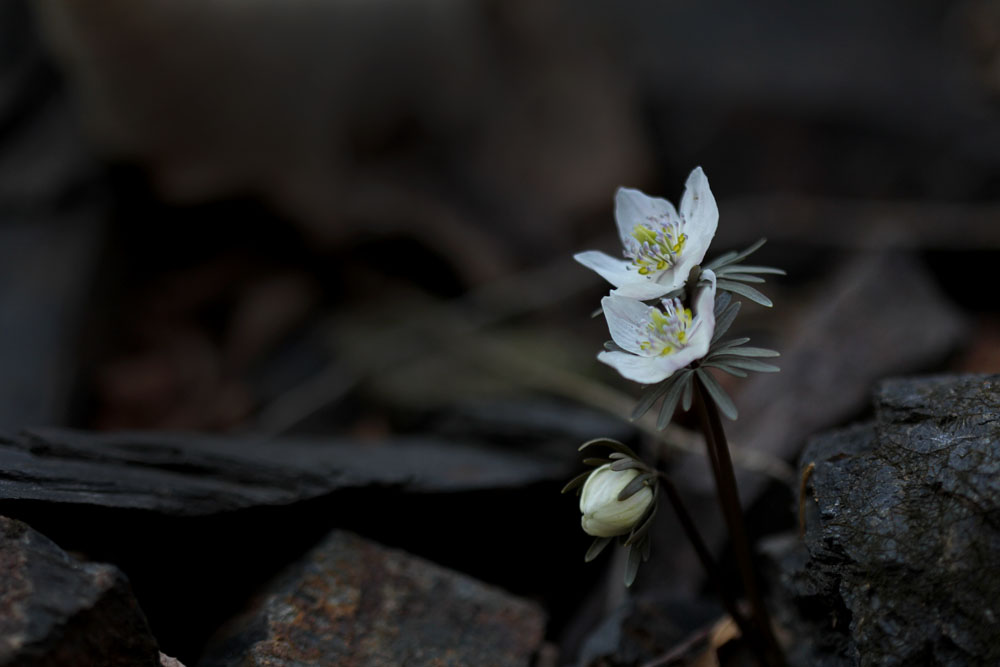 12-03-01 tad 143-1.jpg