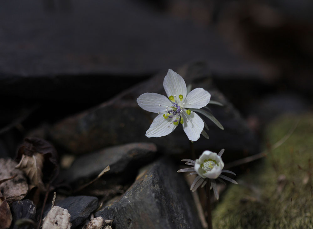 12-03-01 tad 161-1.jpg