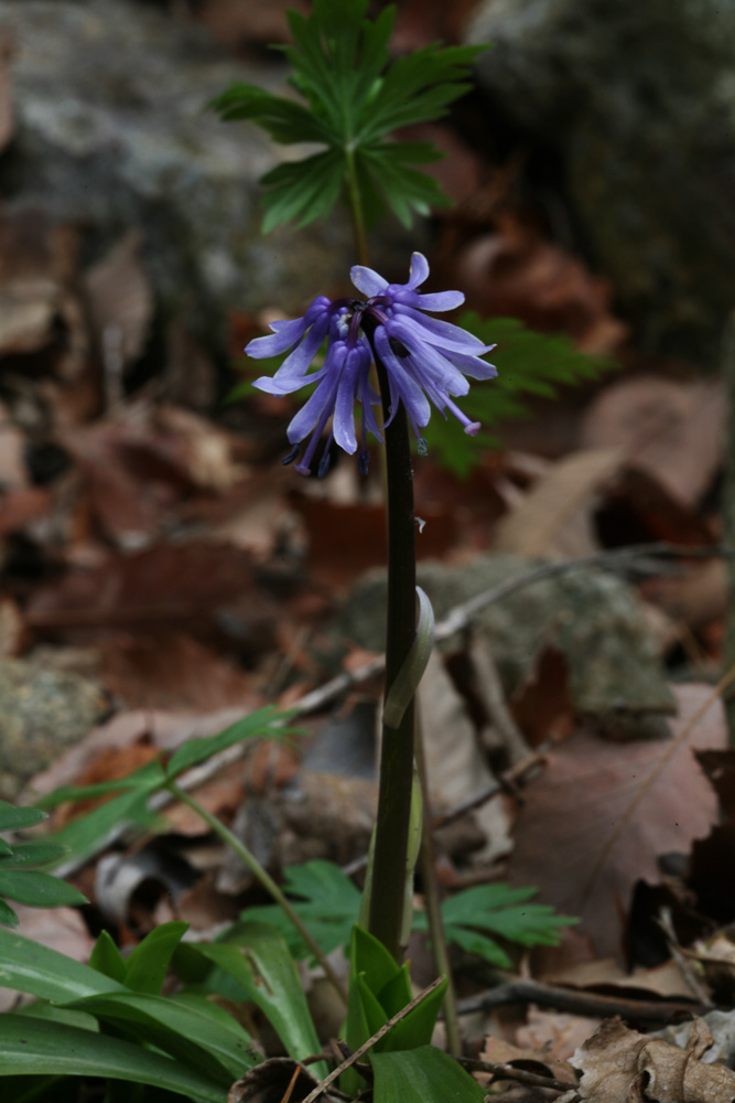 09-04-16 cjd 044-1.jpg