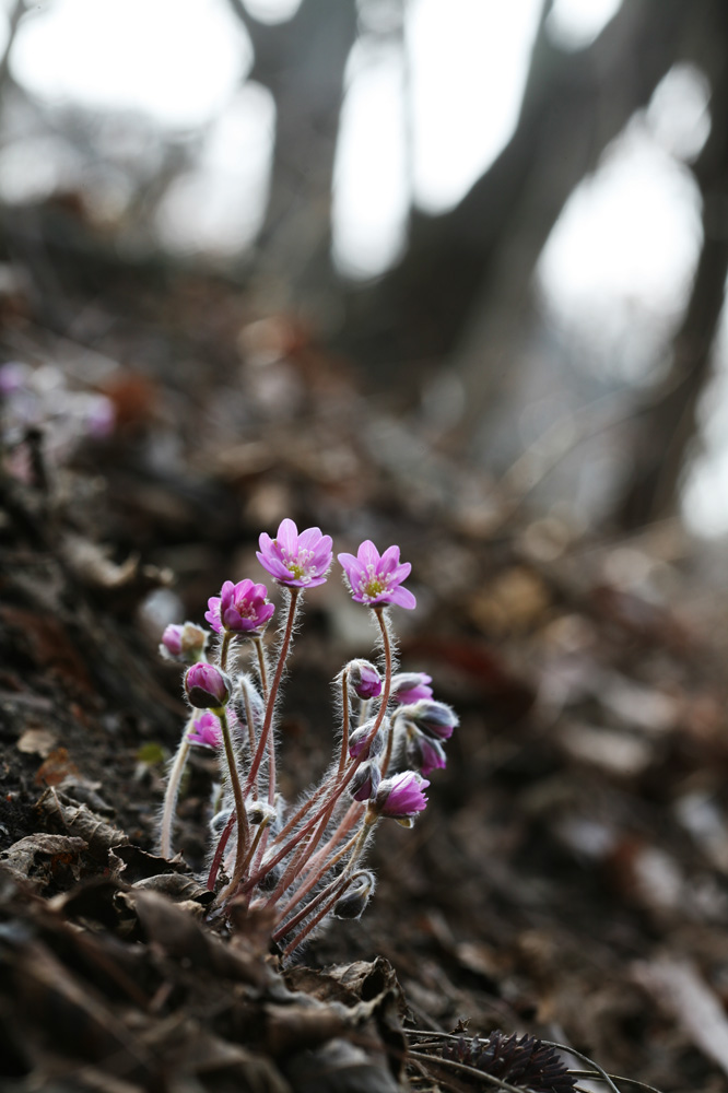 10-03-07 cjd 465-1.jpg