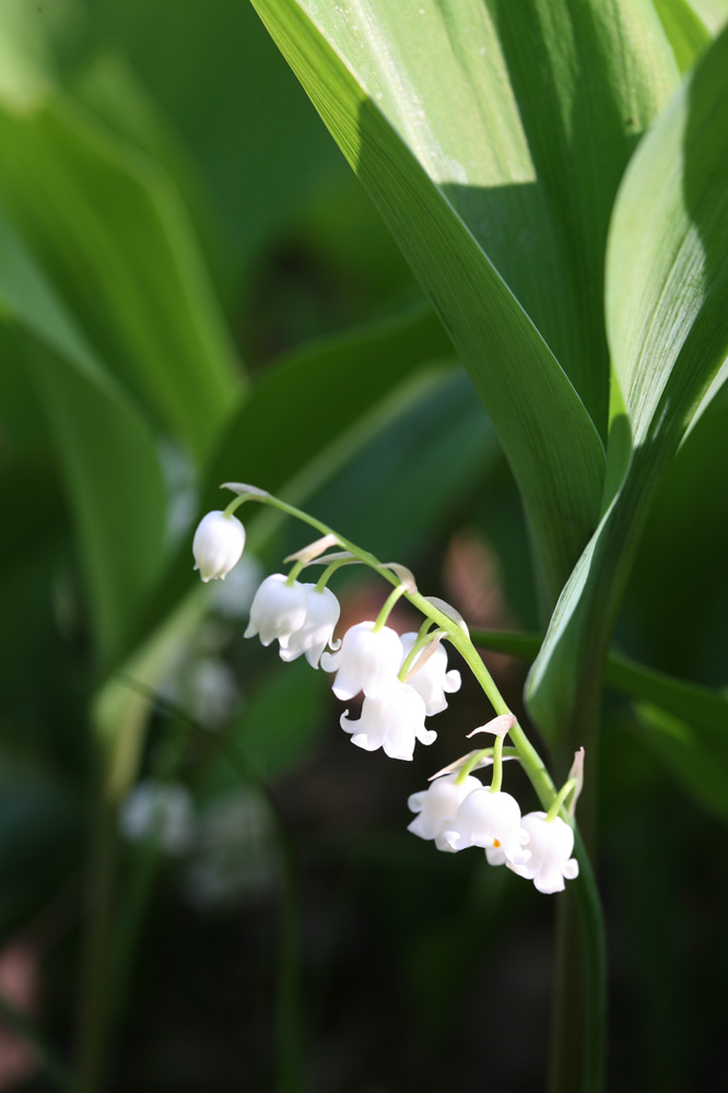 10-05-07cjd 228-1.jpg