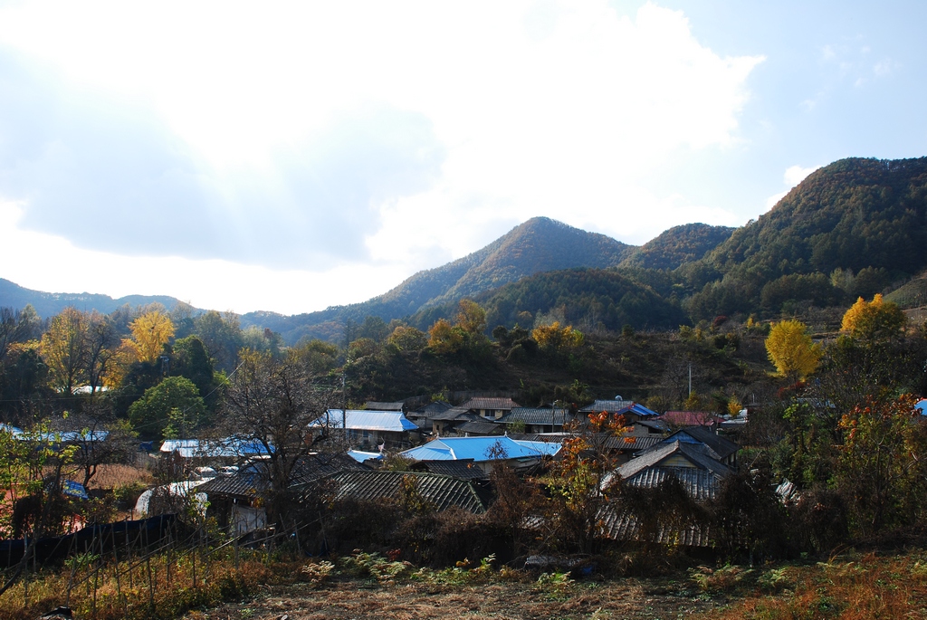 1024 111030 옥천 서대지 056.jpg