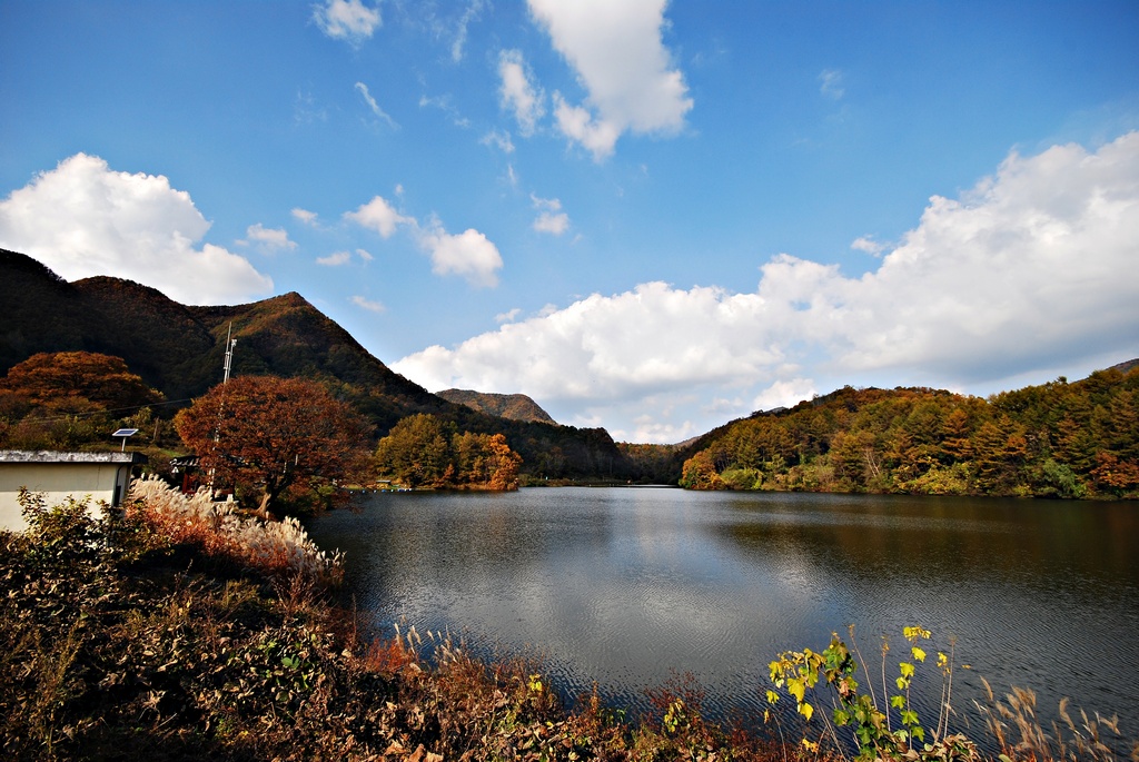 1024 111030 옥천 서대지 064.jpg