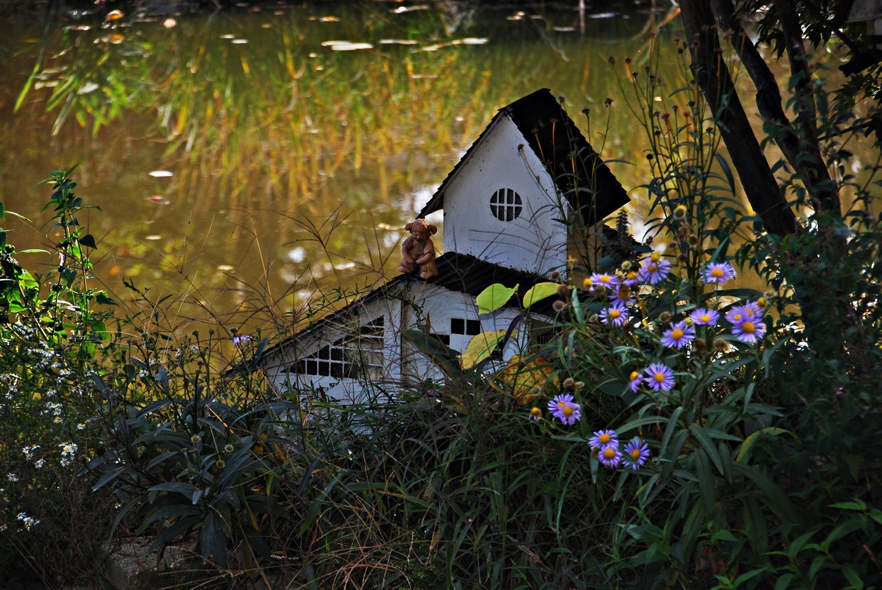 1280 111023 남이섬 180.jpg