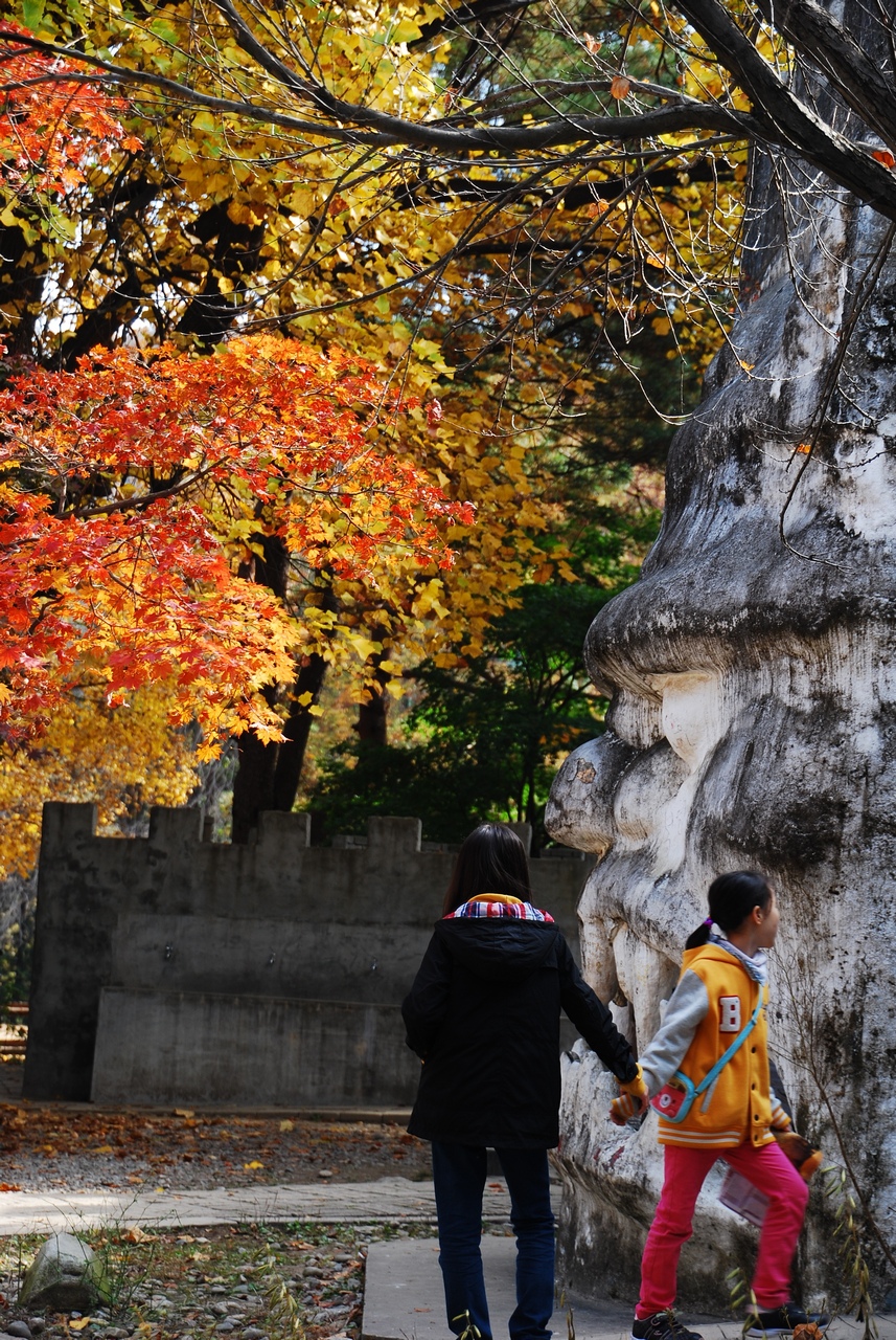 1280 111023 남이섬 192.jpg