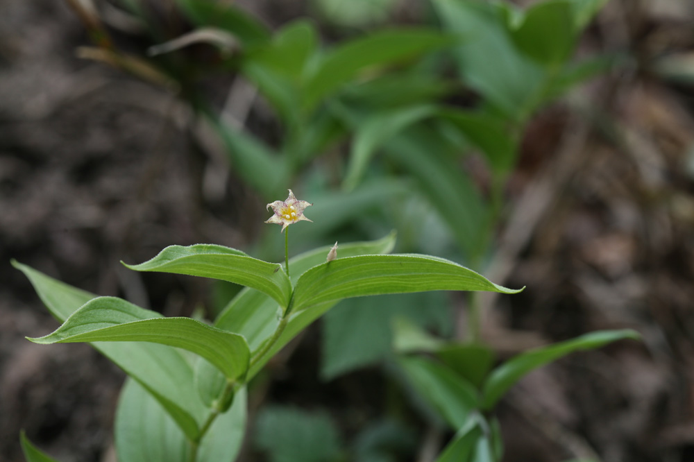 10-05-15cjd 117-1.jpg