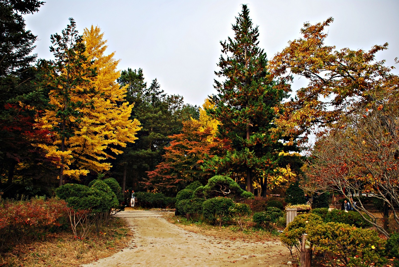 1280 111023 남이섬 133.jpg