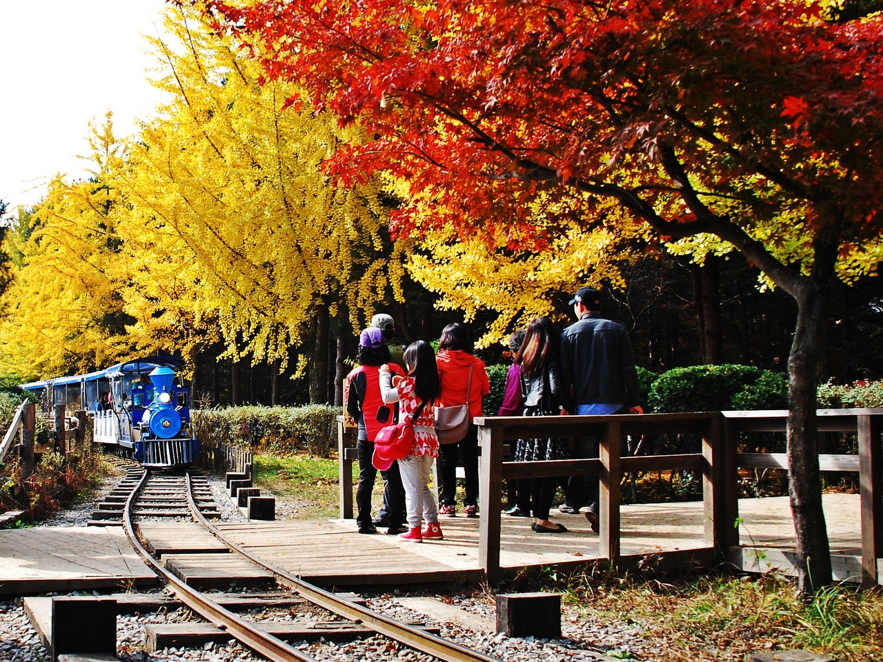 1280 111023 남이섬 147_cr.jpg