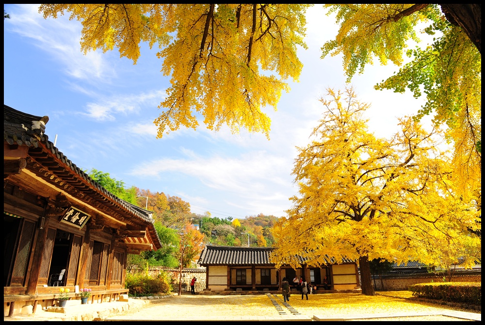 전주향교 (168).JPG