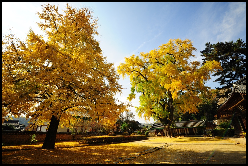 전주향교 (142).JPG