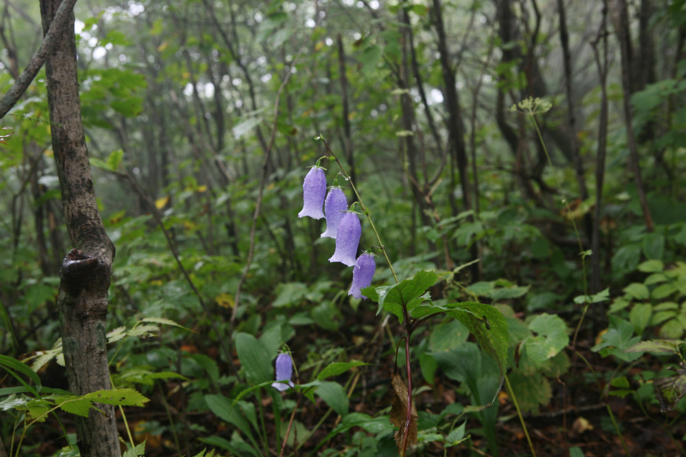 09-08-30 cjd 178-1.jpg