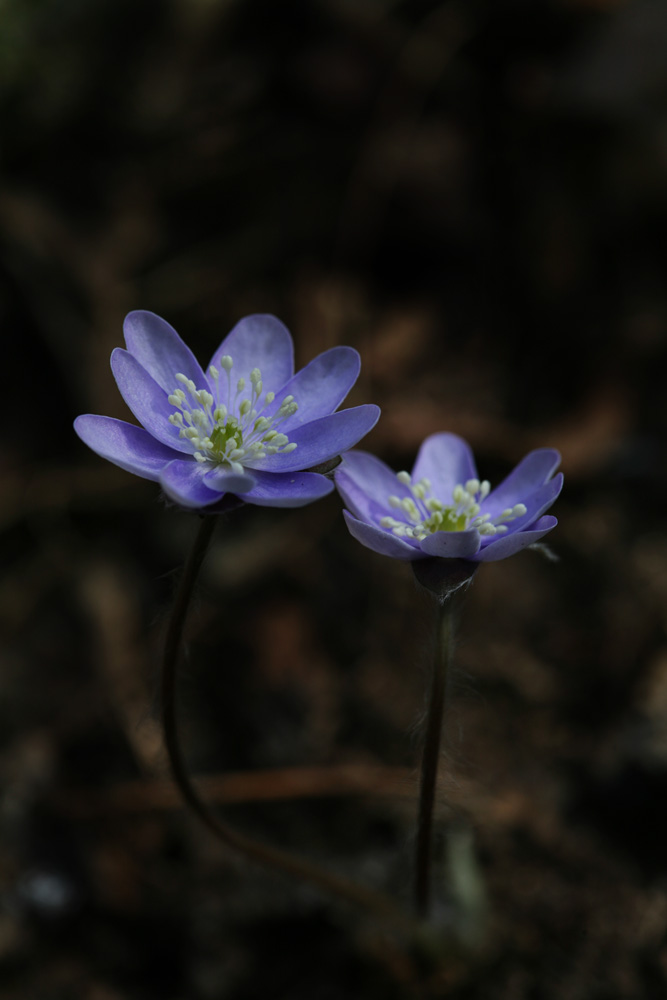 09-03-08 cjd 098-1.jpg