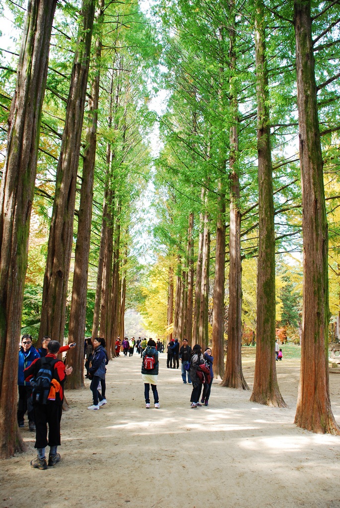 1024 111023 남이섬 214.jpg