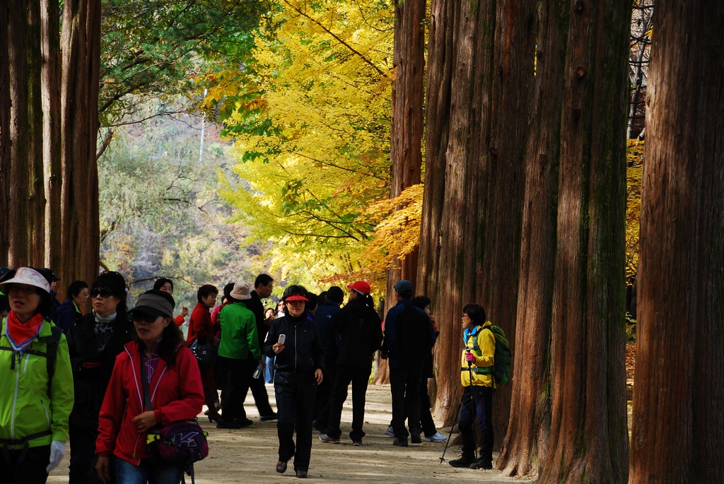 1024 111023 남이섬 216.jpg