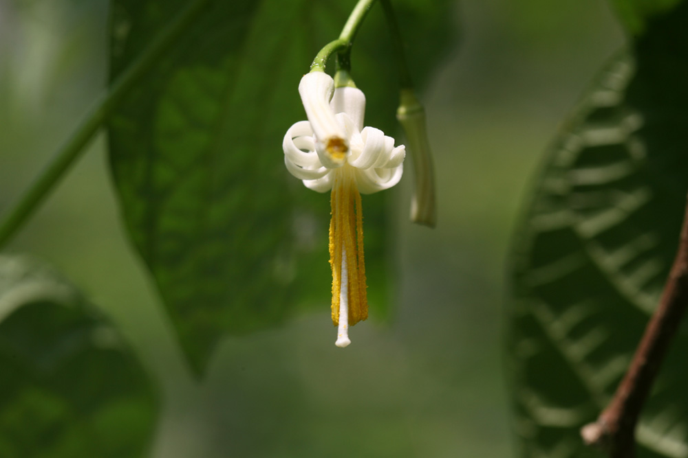 09-05-30 cjd 025-1.jpg