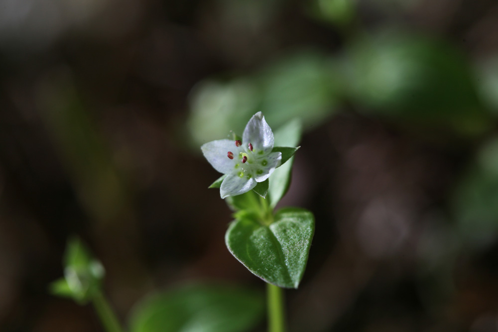 09-05-18 cjd 176-1.jpg