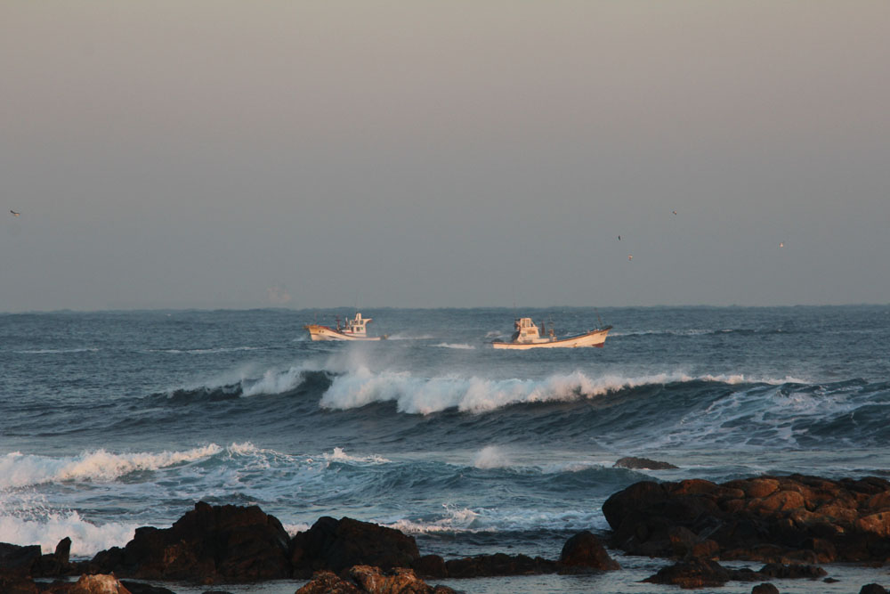 11-12-31 tad 292-1.jpg