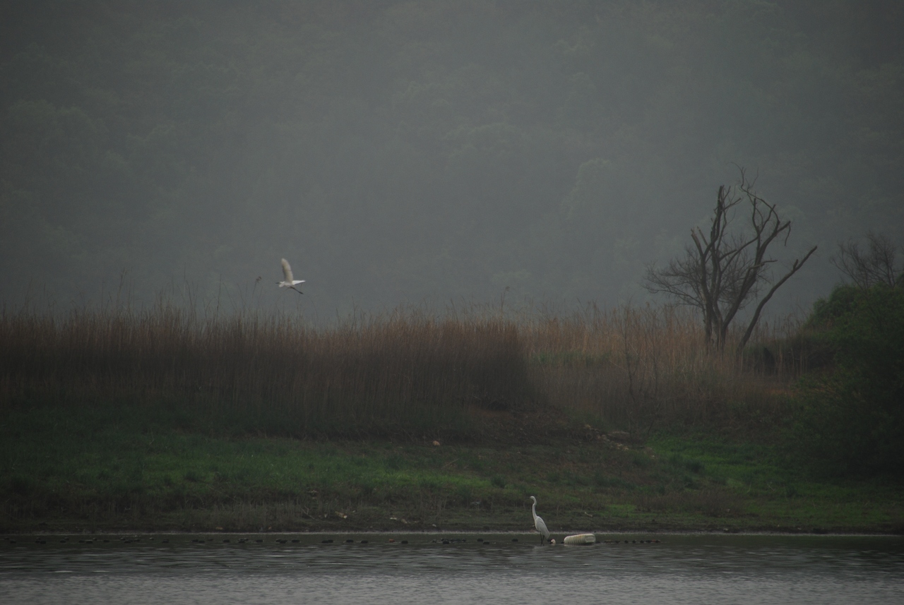 1280-110508 추소리 117.jpg